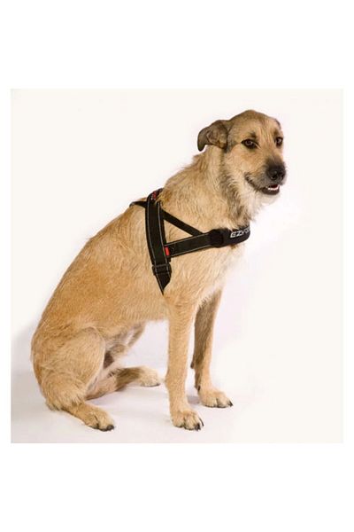 Ezydog Quick Fit Harness - Black
