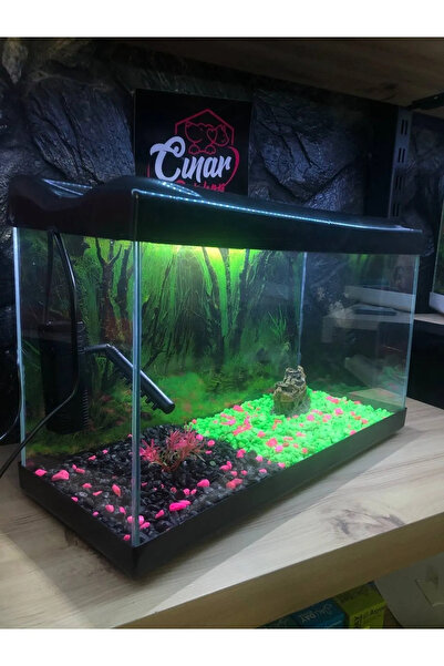 Çınarpetshop Özel Tasarım Dekorlu Ve Aydınlatmalı Akvaryum