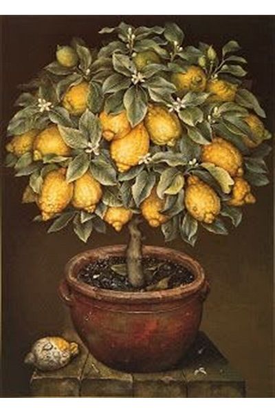 MARCEL SANAT Lemon Tree Diamond Mosaic Painting in Soil Pot 43X58Cm