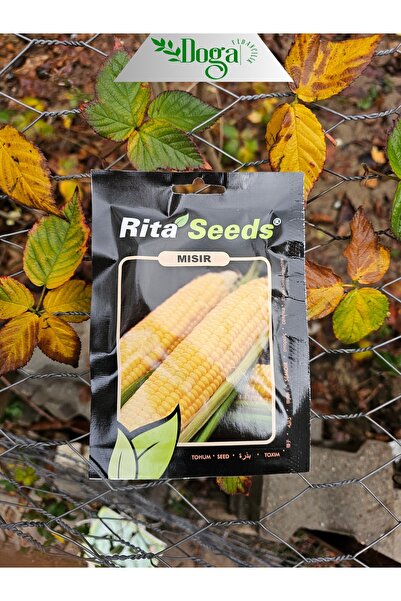 DOĞA FİDANCILIK Tatlı Süt Mısır Tohumu
