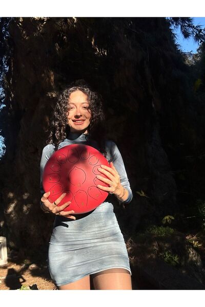 miniarpturkiye 12 inç 13 Notalı Mega Boy Pro Handpan A Kalite Çelikten Yapılmıştır (2 YIL GARANTİLİDİR)