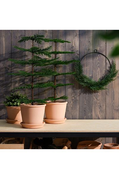 IKEA Τεχνητό φυτό, Norfolk Island Pine, 15 cm, Fejka