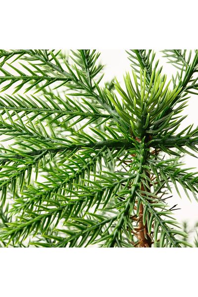 IKEA Τεχνητό φυτό, Norfolk Island Pine, 15 cm, Fejka