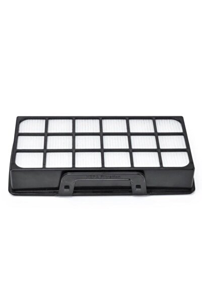 Supurgeavm Rowenta Ro 6954 Ro 6993 Ro 6921 Ro 6951 - Συμβατό σετ φίλτρων Hepa