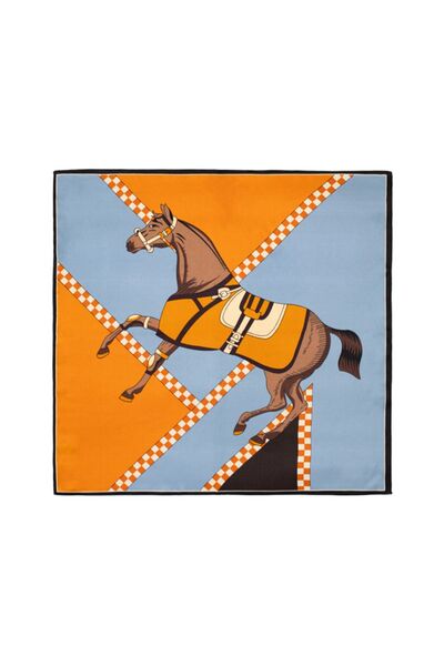 CASHMERE AND SİLK MAWLANA 100% Silk Scarf (50*50)