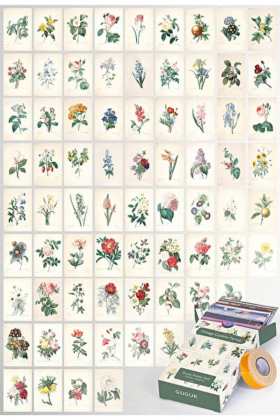 GUGUK Vintage Çiçekler Temalı 72 Adet Duvar Poster Seti, Özel Tasarım Kutulu, Oda Dekoru (GGK-K048)