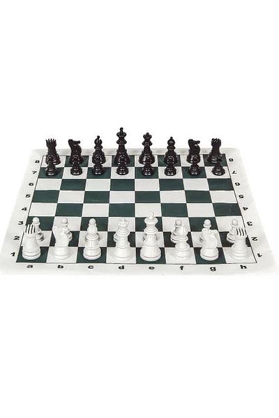 Elif mağazacılık Chess set (suitable for special curriculum for schools)