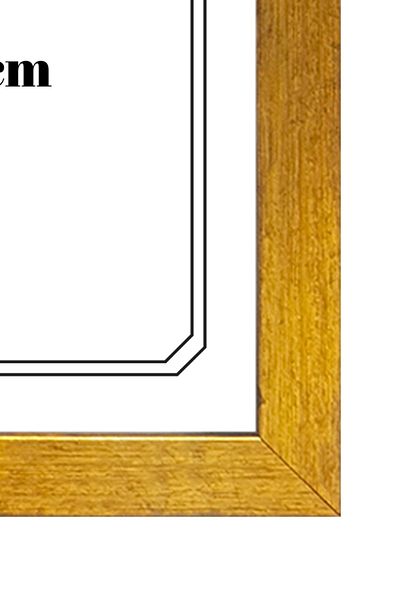 Batu Art Home A4 Frame with Glass - Document Diploma and Photo Hangable Matte Gold Color Picture 21X29.7 cm