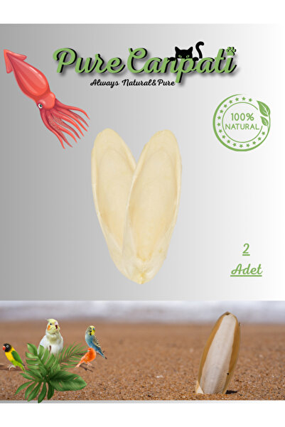 PureCanpati 2 Adet Temizlenmiş Küçük Boy Kalamar Kemiği (7-8cm) Mürekkep Balı...
