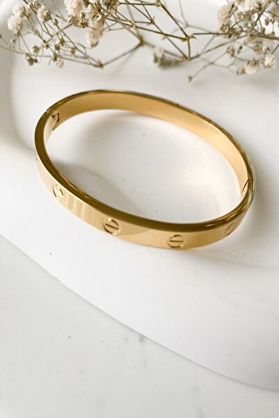 Pretty Model Steel Clamp