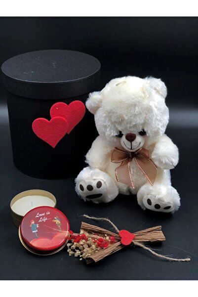 Masalsı Concept 14 şubat sevgililer günü hediyesi Kız Arkadaşa Sevgiliye Eşe ...