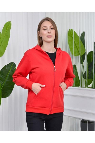 CİXAPLE 3 Thread Zippered Hooded Sweat