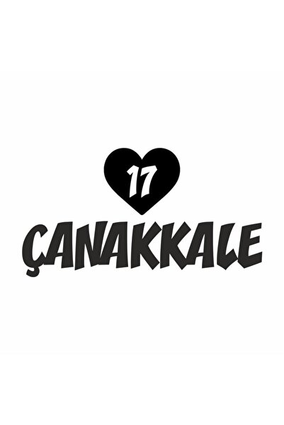 Reysa Tasarım ملصق سيارة على شكل قلب 17 طبق مقاس 20 × 15 سم باللون الأسود