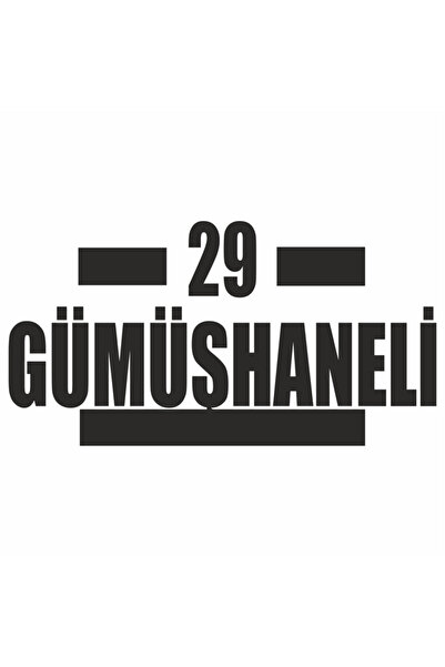 Reysa Tasarım 29 ملصق سيارة فضي مقاس 16x9 سم أزرق