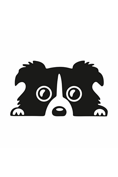 Reysa Tasarım ملصق سيارة كلب 19x11 سم أزرق