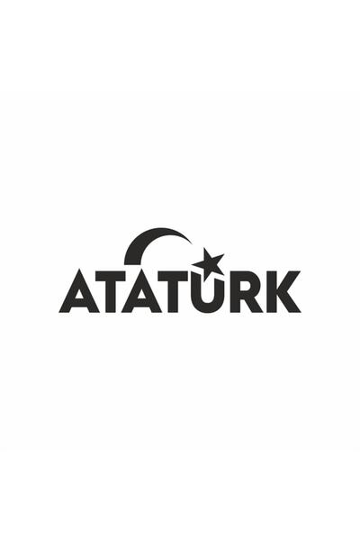 Reysa Tasarım Ataturk Lettering And Star and Crescent Sticker 25x10 Cm White