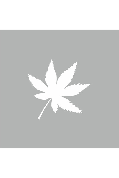 Reysa Tasarım 6 Leafy Leaf Car Sticker 15x15 Cm White