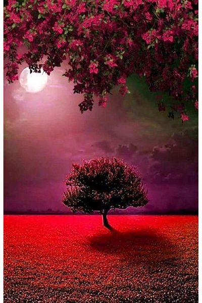 MARCEL SANAT Red Night Marcel Art Diamond Mosaic Painting 36X56Cm