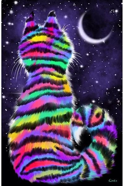Marcel Kristal Tablo Colorful Cat Diamond Mosaic Painting 41X61Cm