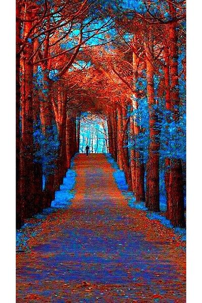 Marcel Kristal Tablo 30x55cm Forest Diamond Mosaic Painting - in Autumn