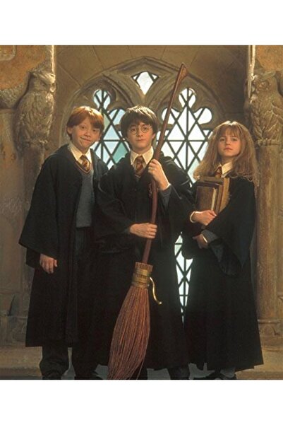 Marcel Kristal Tablo Harry Potter Elmas Mozaik Tablo 56x66 Cm