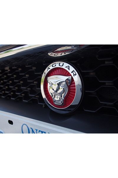 Jaguar Dk Tuning Front Shutter Grill Panther 3m 3d 70mm Logo