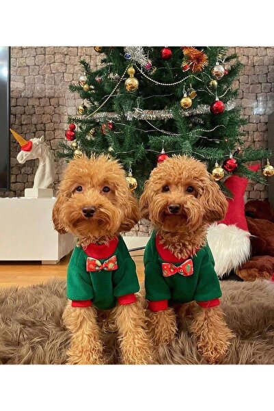 PetiliDünya Yılbaşı Kıyafeti Yeşil Polar Papyonlu Model Kedi Kıyafeti Köpek Kıyafeti
