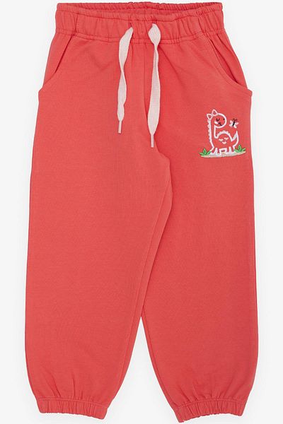 Breeze Girl Child Bottom Cute Dinosaur & Butterfly Embroidery Printed 1-4 Years, Pomegranate Flower