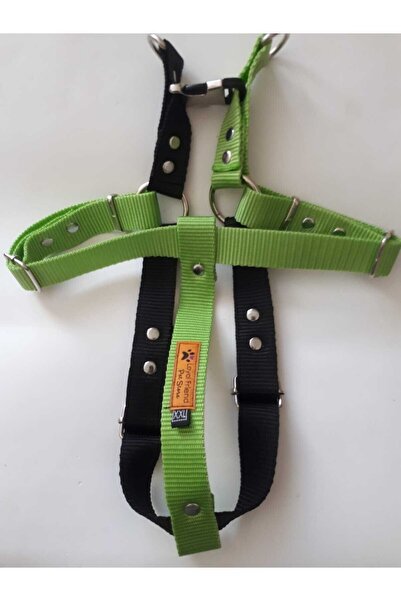 Loyal Friend Store KÖPEK BELTASMA TAKIMI SİYAH VE NEON YEŞİLİ İKİ RENK
