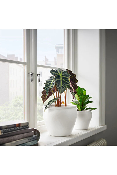 IKEA Beyaz Beton Saksı