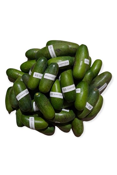 Alanya Özlem Bebek Avokado Çekirdeksiz Taze Dalından Net 1 kg