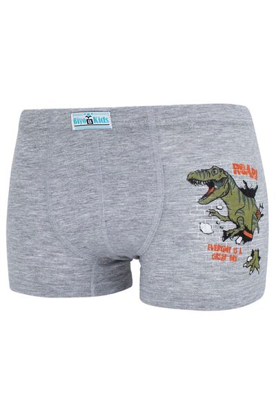 biyokids Erkek Çocuk Boxer 5 Li Paket Karışık Renk Baskılı Boxer Byo2563