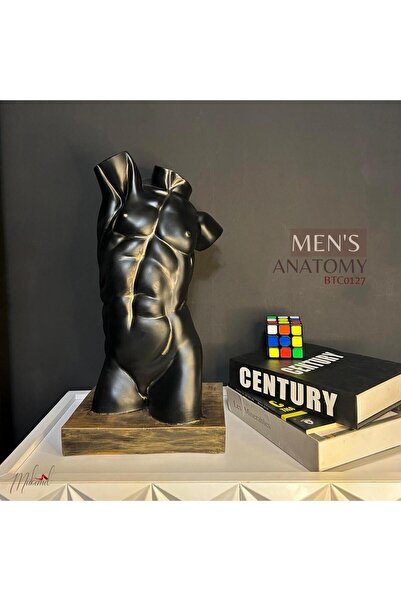 MÜKEMEL Yunan sanatı esinli erkek anatomisi büstü – kaslı vücut geliştirme fi...