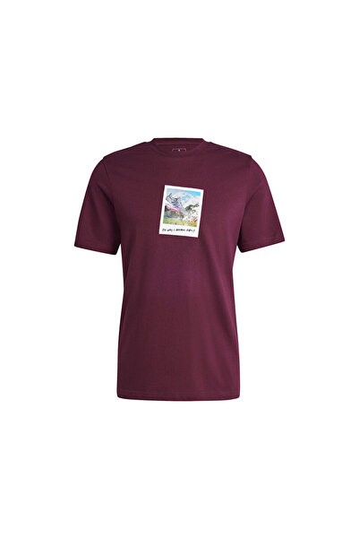 adidas M All Day I Tee Men's Casual T-Shirt IS9045 Red
