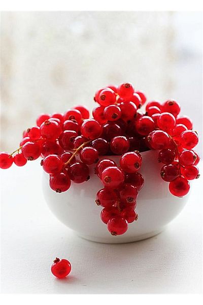 MARCEL SANAT Red Fruits in the Bowl Marcel Art Diamond Mosaic Painting 25x36cm