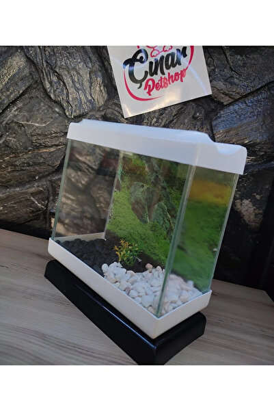 Çınarpetshop Özel Dekorlu Mini Akvaryum