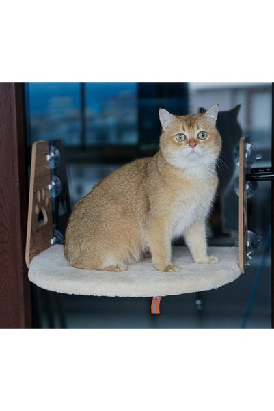 PUGALO Cam Yatağı Vantuzlu Kedi Cam Yatağı Vantuzlu Yatak Krem