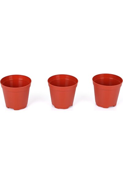 50 Pieces 5.5 Cm Production Pot