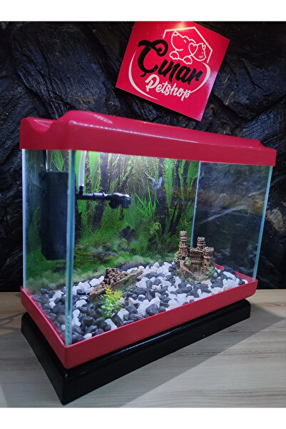 Çınarpetshop Özel Tasarım Dekorlu Ve Aydınlatmalı Akvaryum