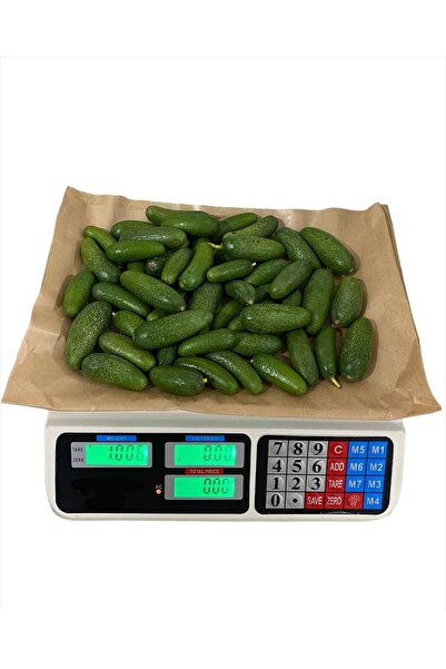 Alanya Özlem Bebek Avokado Çekirdeksiz Taze Dalından Net 1 kg