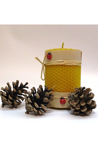 Petekoğlu 10cmx6cm Tekil Doğal Petek Balmumu Mum