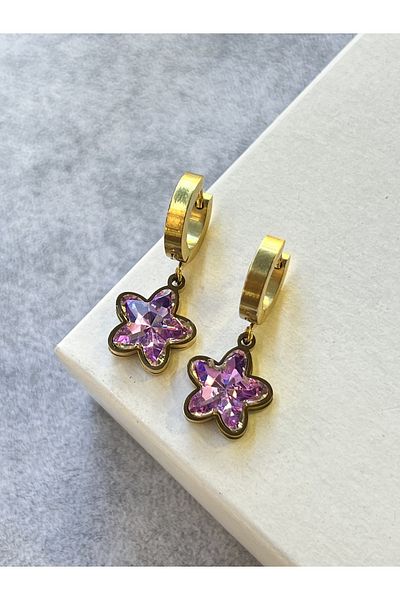 ilvesa shop Steel Star Figured Earrings