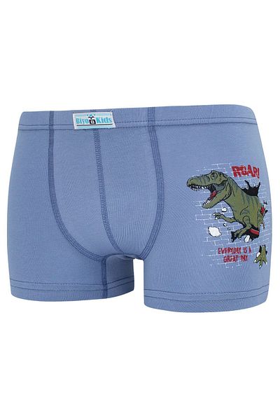 biyokids Boxeri pentru băieți, pachet de 5 boxeri cu imprimeu în culori mixte Byo2563