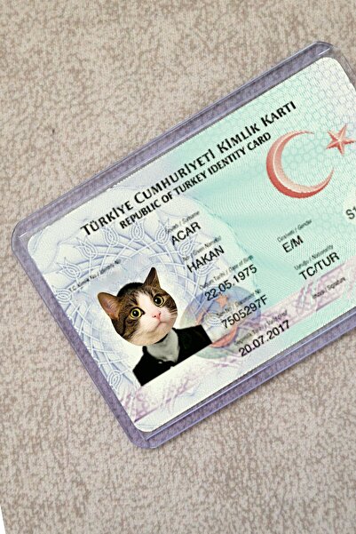 SARANG Kahverengi Kedi Şeffaf Kimlik Kılıfı - Ehliyet, Nufüs Cüzdanı, Okul Ka...