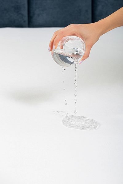Salbace Cotton Fitted Liquid Proof Mattress Protector Mattress Protector
