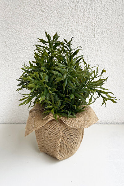 Meran Yapay Çiçek Jüt Kumaş Saksılı Yapay Bitki