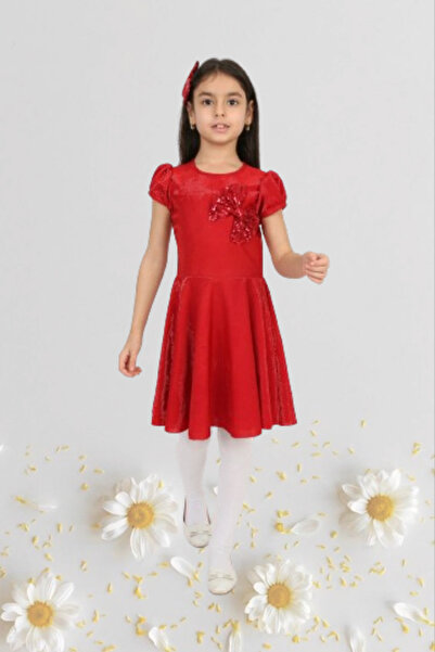 Nacar Kız Çocuk 23 Nisan Okul Gösteri Doğum Günü Tüllü Kurdaleli Kısa Elbise 024