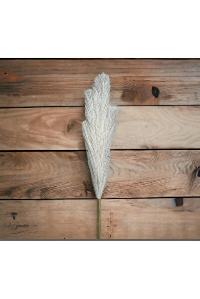 Sever 4 Adet Dekoratif Naturel Kuru Çiçek Pampas Vazo Pampası