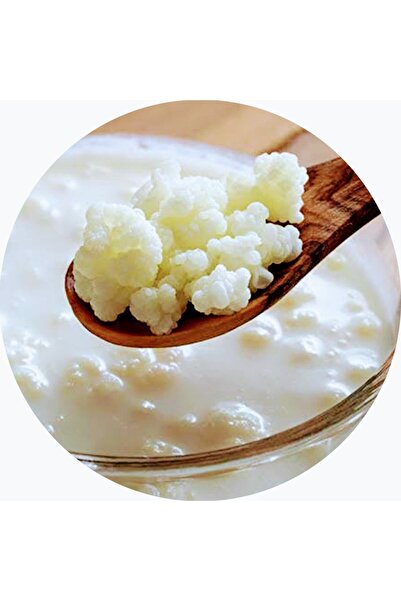 ETİK-FARMA Özel Üretim Organik Kafkas Süt Kefir Mayası [ Canlı Kefir Taneleri ]