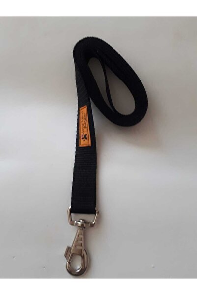 Loyal Friend Store KÖPEK BELTASMA TAKIMI SİYAH VE NEON YEŞİLİ İKİ RENK